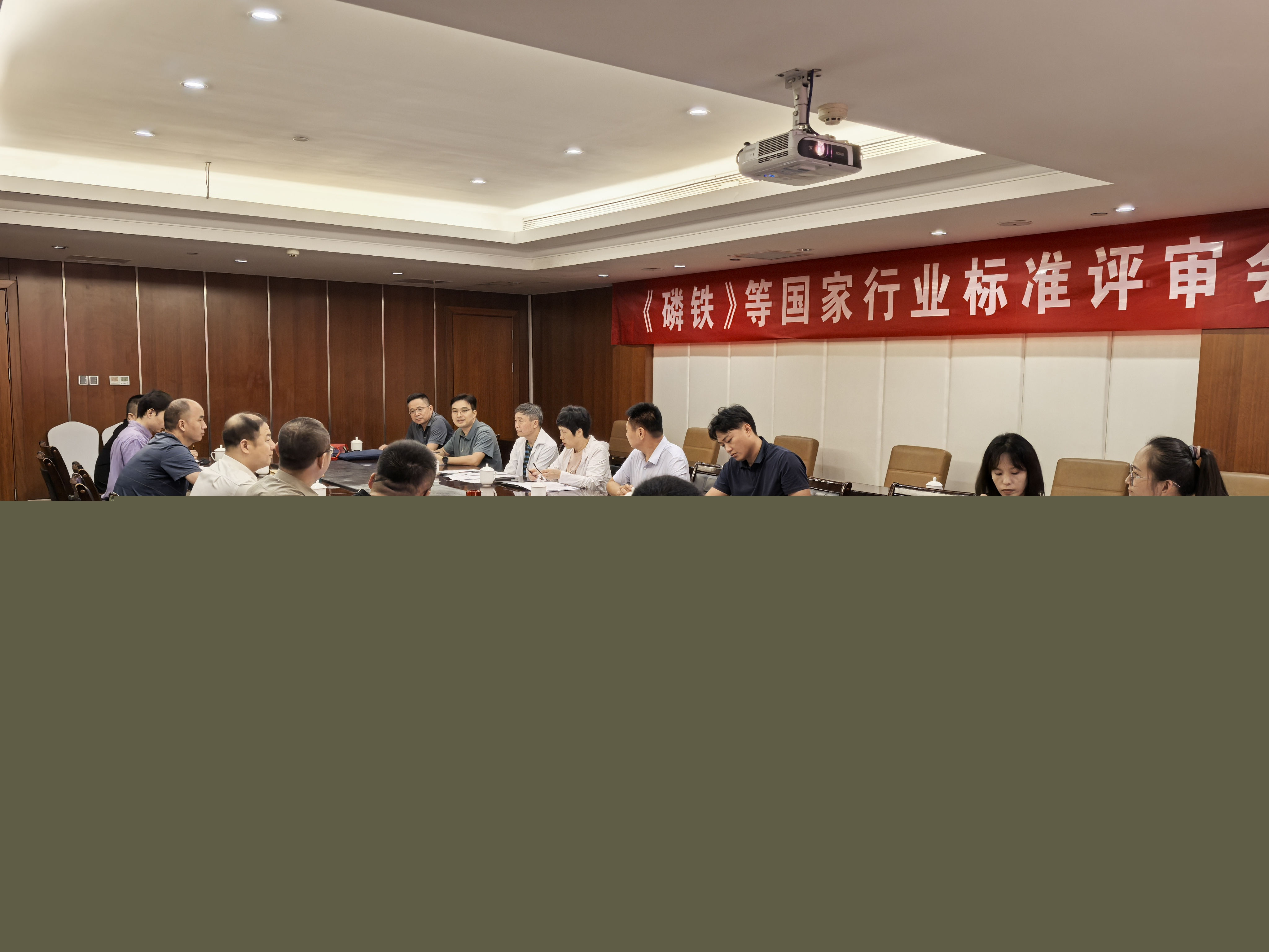 豫中新材料牽頭2024《磷鐵》新